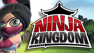 Ninja Kingdom
