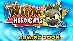 Ninja Hero Cats