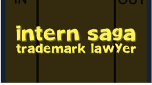 Intern Saga: Trademark Lawyer